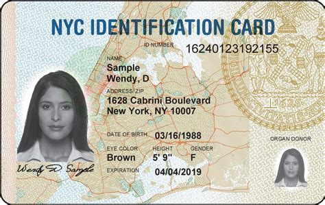 If your license or ID was issued AFTER January 28, 2014, your document number can be found on the back; if it was issued BEFORE that date, you’ll find it in the lower right corner on the front of the card. The document number is a mix of numbers and letters that can be 8-10 characters long. Your license number is 9 digits and all numbers, so ...